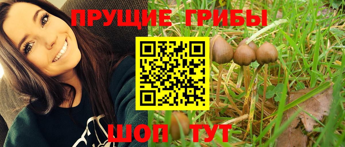Галлюциногенные грибы прущие грибы Красноярск