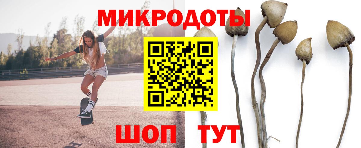 Галлюциногенные грибы Cubensis  Вход с VPN  Красноярск  Галлюциногенные грибы Cubensis 